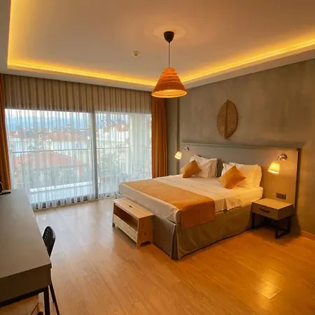Belci House 2*